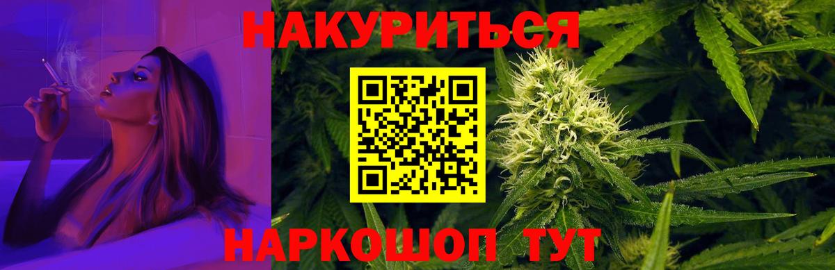 Санкт-Петербург  Бошки Шишки план  Вход с VPN  Каннабис SATIVA & INDICA 
